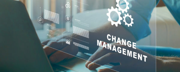 management de transition